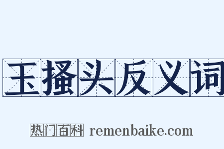 玉搔头反义词是什么意思的图片